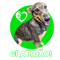 Gratidao Sticker by GARRA