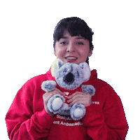 Koala Sticker by Study Adelaide