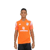 Liga Dominicana Soccer Sticker by Cibao FC