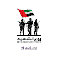 Uae Ei Sticker by Emirates Islamic
