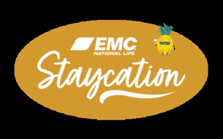 EMCNLCommunications emcnl emcnlstaycation GIF