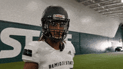Bsubeaversfb GIF by Bemidji State Beavers