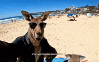 Bondi Beach Ai GIF