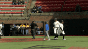 High Five Home Run GIF by Cincinnati Bearcats