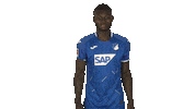 Happy Tsg Hoffenheim Sticker by Bundesliga
