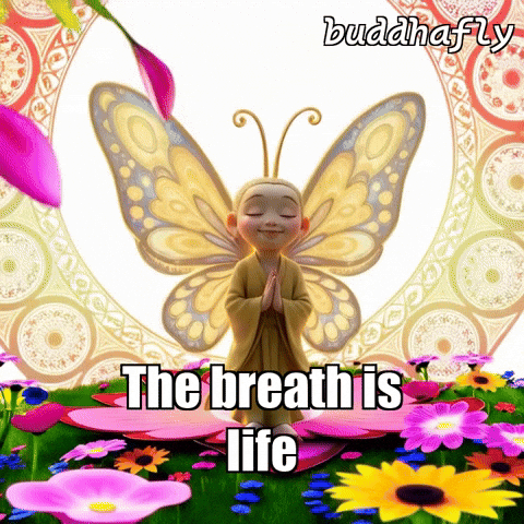 Butterfly Garden GIF by BuddhaFlyJourney