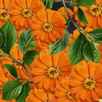 Collage Art Fashion GIF by Chantal Caduff