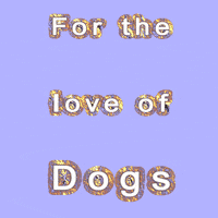 duncans love dog dogs GIF
