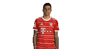 Joao Cancelo Bayern Sticker by Bundesliga
