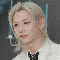 Stray Kids Skz GIF