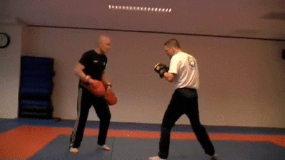kickboxing GIF