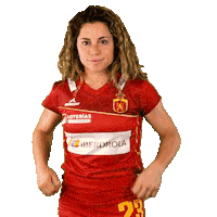 RFEH iberdrola hockey españa redsticks desafia tu limite Sticker