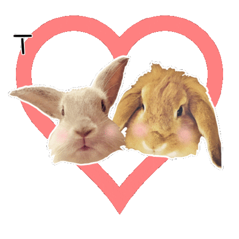 Thanks Bunny Sticker