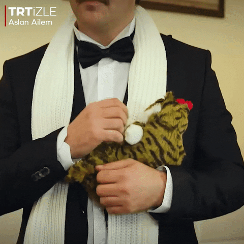 Cat Godfather GIF by TRT