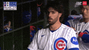 Chicago Cubs Baseball GIF