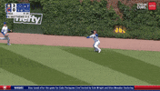 Chicago Cubs Baseball GIF