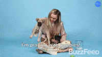 I'm Playing With Puppies!
