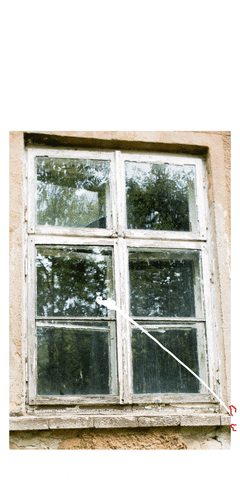 stnort giphyupload GIF