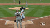 Ny Mets GIF by New York Mets