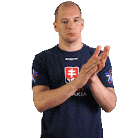 hockey bravo Sticker by Pilsner Urquell