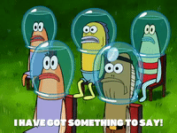 season 6 gullible pants GIF by SpongeBob SquarePants