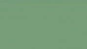 tatze_mur tatzemur GIF