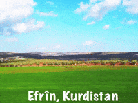 Kurdistan Kurdish GIF