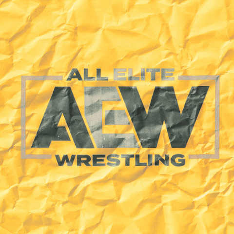 all elite wwe GIF by ALL SEEING EYES