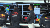 Red Bull Smile GIF by Formula 1