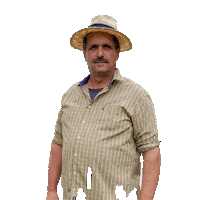 Farmamarkiza Celebrating Sticker by Farma