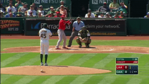 baseball career GIF
