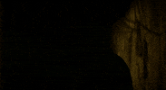 you are neither marlon brando GIF by Maudit