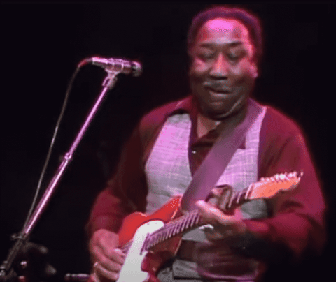 scottmreinhardgmailcom giphyupload guitar blues electricguitar GIF