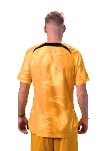 Taylor Fifaworldcup Sticker by OnsOranje