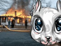 LibertySquareHQ fire squirrel house fire liberty square GIF