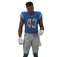 Dial In National Football League Sticker by Detroit Lions