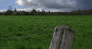 barbed wire landscape GIF by Head Like an Orange
