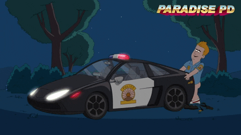 tom kenny police GIF by NETFLIX