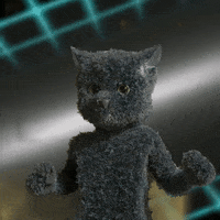 Who Knows Reaction GIF