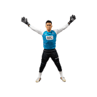 Riseasone Sticker by St. Louis Ambush