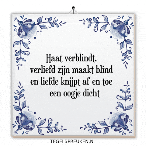 Nl Spanning GIF by Tegelspreuken.nl