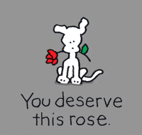 GIF by Chippy the Dog