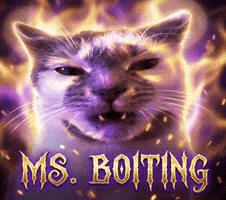Cat Meme GIF
