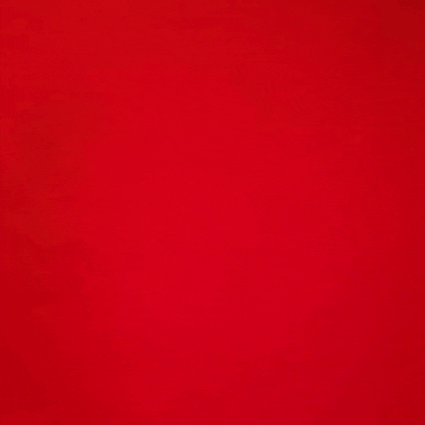 Breamber Scott GIF by Texas Tech Women's Basketball