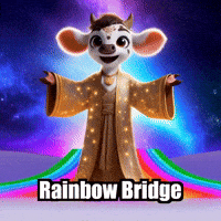 Rainbow Bridge Wisdom GIF by Moosiahzen