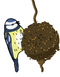 Bird Vogel Sticker by mahoniemoni