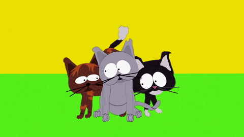aroused cats GIF by South Park 