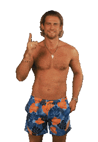 Loveislandusa Harrison Sticker by Peacock