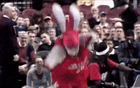 Hip Hop Bunny GIF