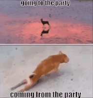 Party Come GIF